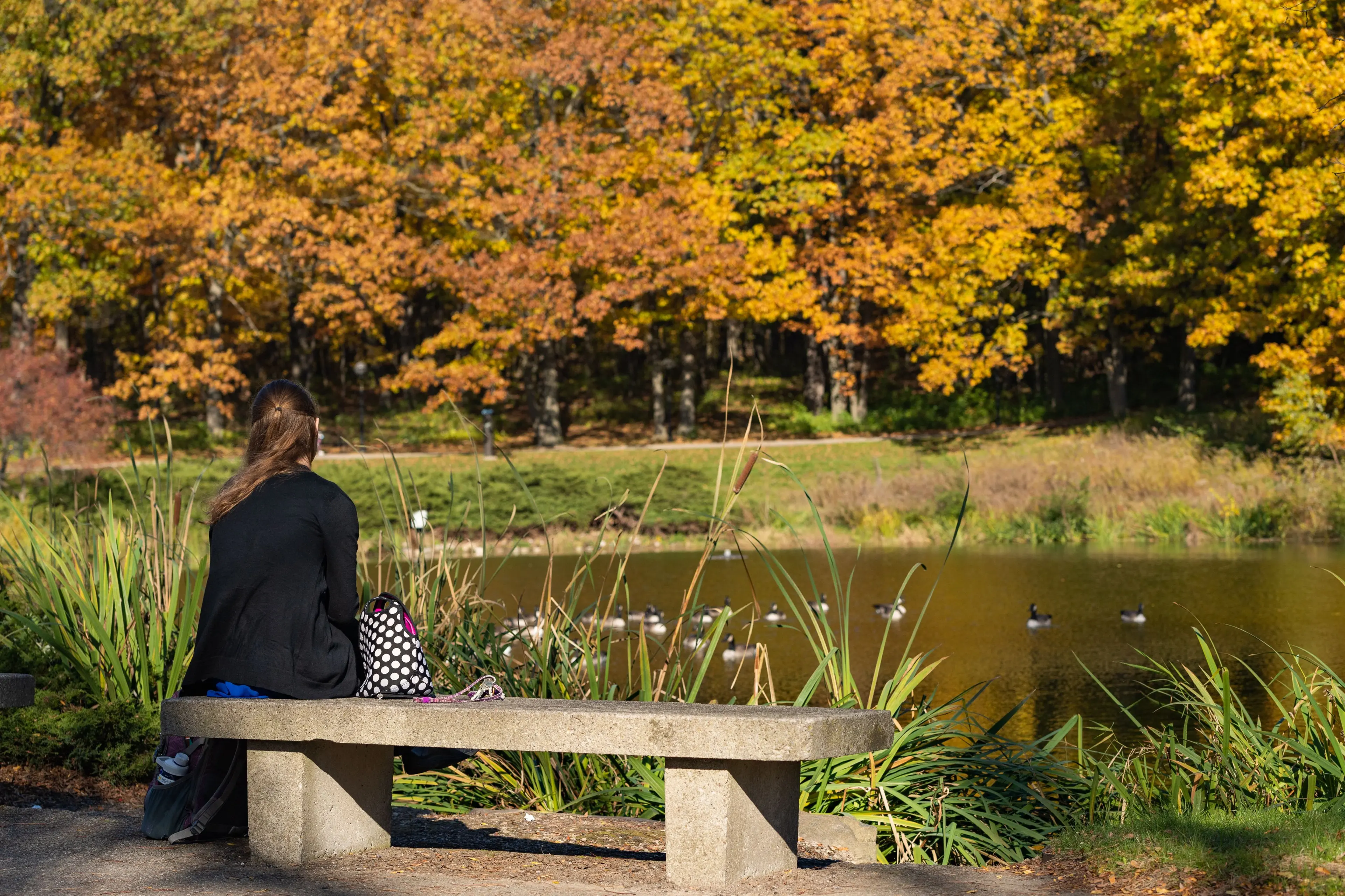 A woman with her back to the camera, sits on a stone bench watching ducks in a river.